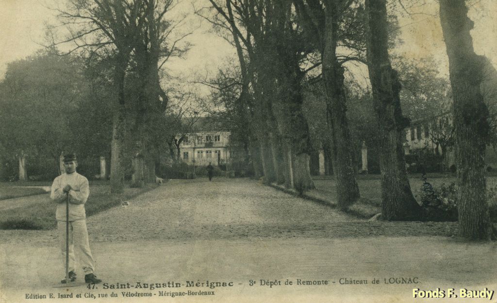 Une grande allée arborée amenait au château.